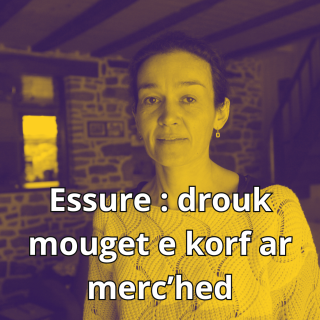 Ensteudoù Essure : Breizhadezed klañv o klask respontoù #1