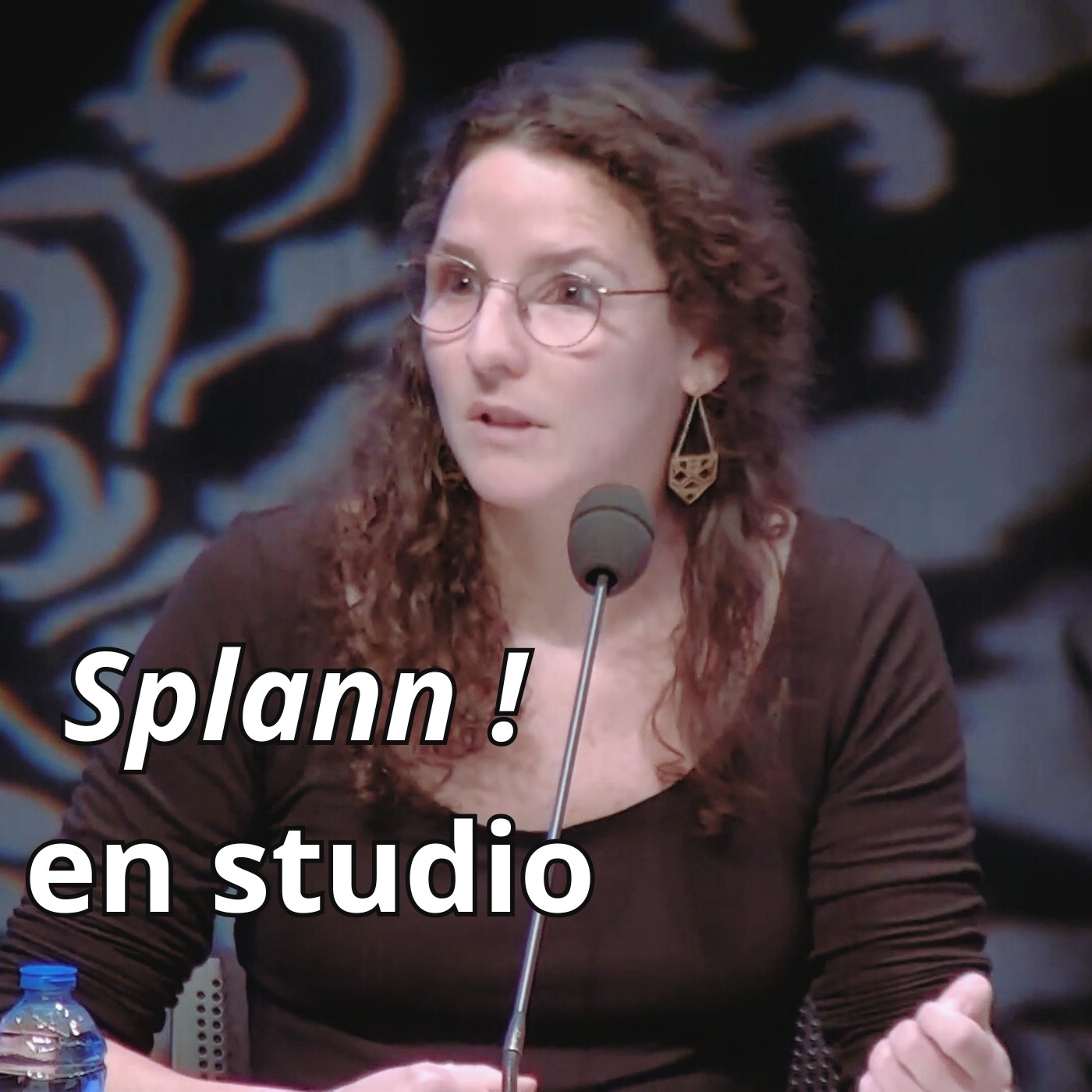 « La question agroalimentaire façonne la Bretagne », Julie Lallouët-Geffroy sur Radio PFM