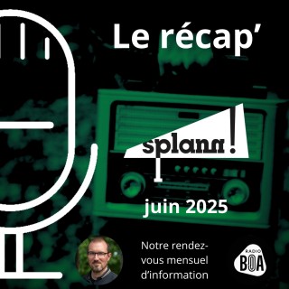 Algues vertes : l'État condamné dans l'affaire Auffray | Le récap' de « Splann ! » de juin 2025